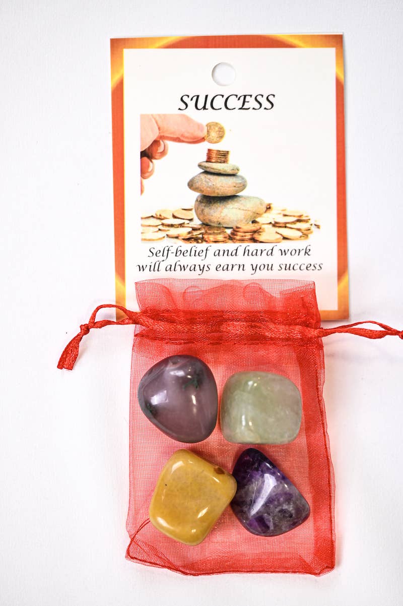 Success Crystal Tumble Healing Bag (Green Aventurine, Golden Quartz, Gray Agate + Amethyst)