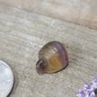3/4’’ Rainbow Fluorite Carvings Buddha Penguin and Turtle - Turtle - Carvings
