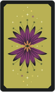 The Secret Oracle of the Green Witch (50 Cards + Illustrated Guidebook)