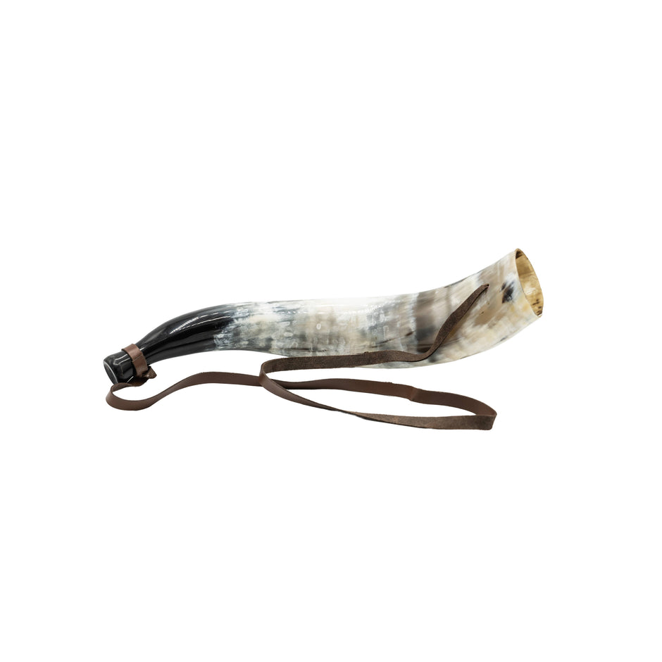 Genuine Steerhorn Blowing Horn 15–18 Inch | Ritual, Ceremony & Sound