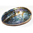 5’’- 6’’ Abalone Shell Incense Burner (a Quality) - Incense & Burners