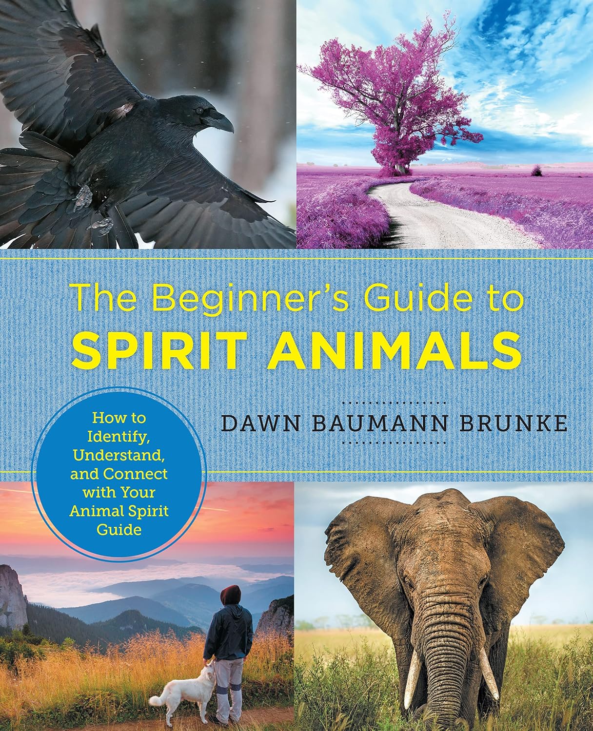 The Beginner’s Guide to Spirit Animals (Soft Cover) – by Dawn Baumann Brunke