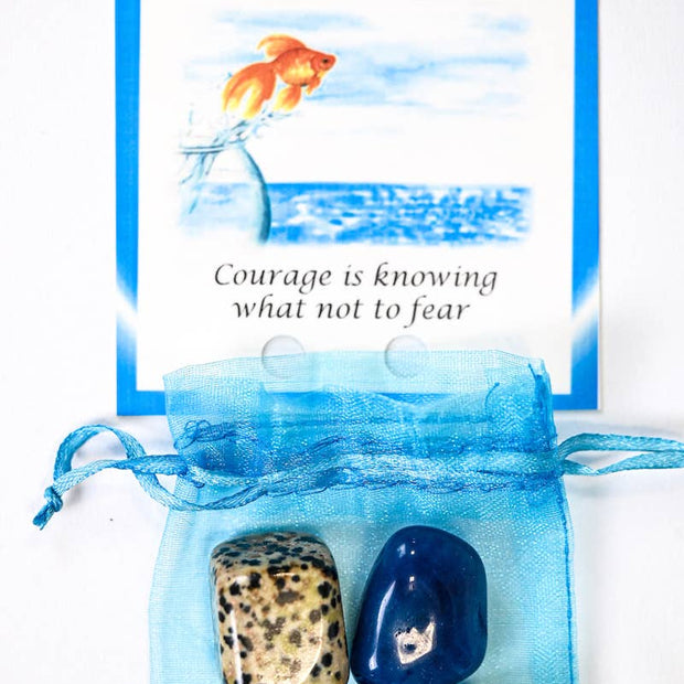 Courage Crystal Tumble Healing Bag (Blue Onyx, Dalmatian Jasper, Moonstone + Gray Agate)