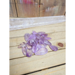 Ametrine Teadrop Cabochon - Intuitive Pick - Jewelry