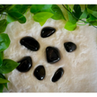 Black Obsidian Palms Assorted - PALM