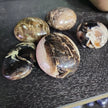 Black Opal Palm(s) - PALM