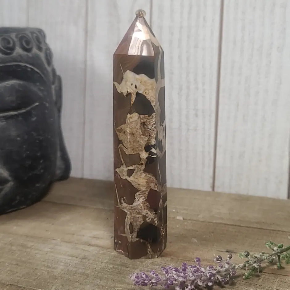 Hand-polished Black Septarian stone featuring bold yellow, brown, and black patterns, displayed on a white background.
