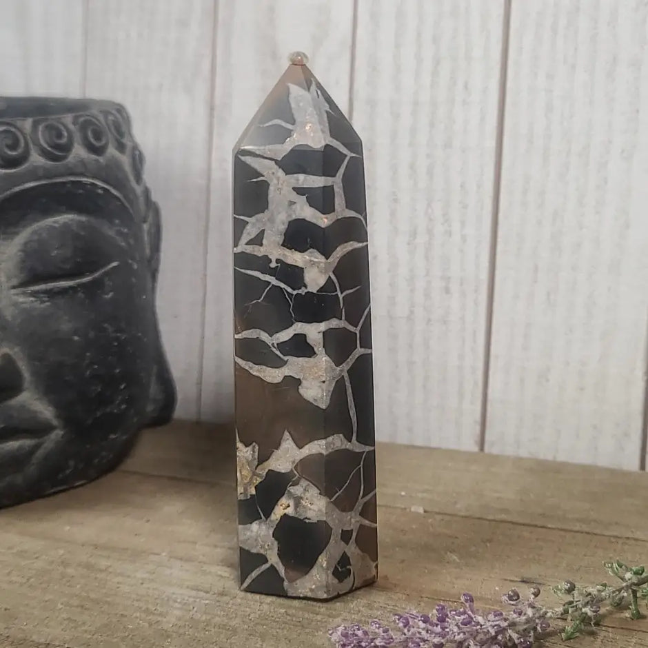 Hand-polished Black Septarian stone featuring bold yellow, brown, and black patterns, displayed on a white background.