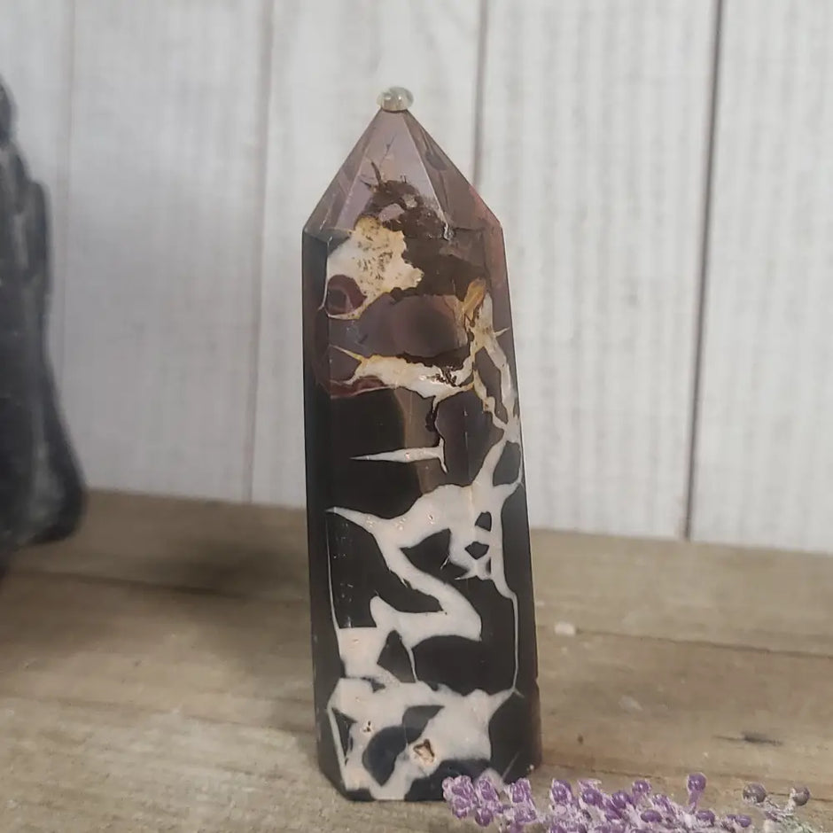 Hand-polished Black Septarian stone featuring bold yellow, brown, and black patterns, displayed on a white background.