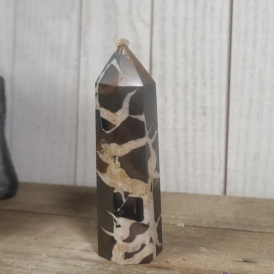 Hand-polished Black Septarian stone featuring bold yellow, brown, and black patterns, displayed on a white background.