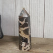 Hand-polished Black Septarian stone featuring bold yellow, brown, and black patterns, displayed on a white background.