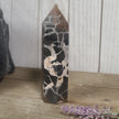 Hand-polished Black Septarian stone featuring bold yellow, brown, and black patterns, displayed on a white background.