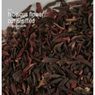 Bulk Herbs by the Half Ounce (.5 oz) - Herbs & Accessories