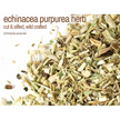 Bulk Herbs by the Half Ounce (.5 oz) - Echinacea Leaf - Herbs & Accessories