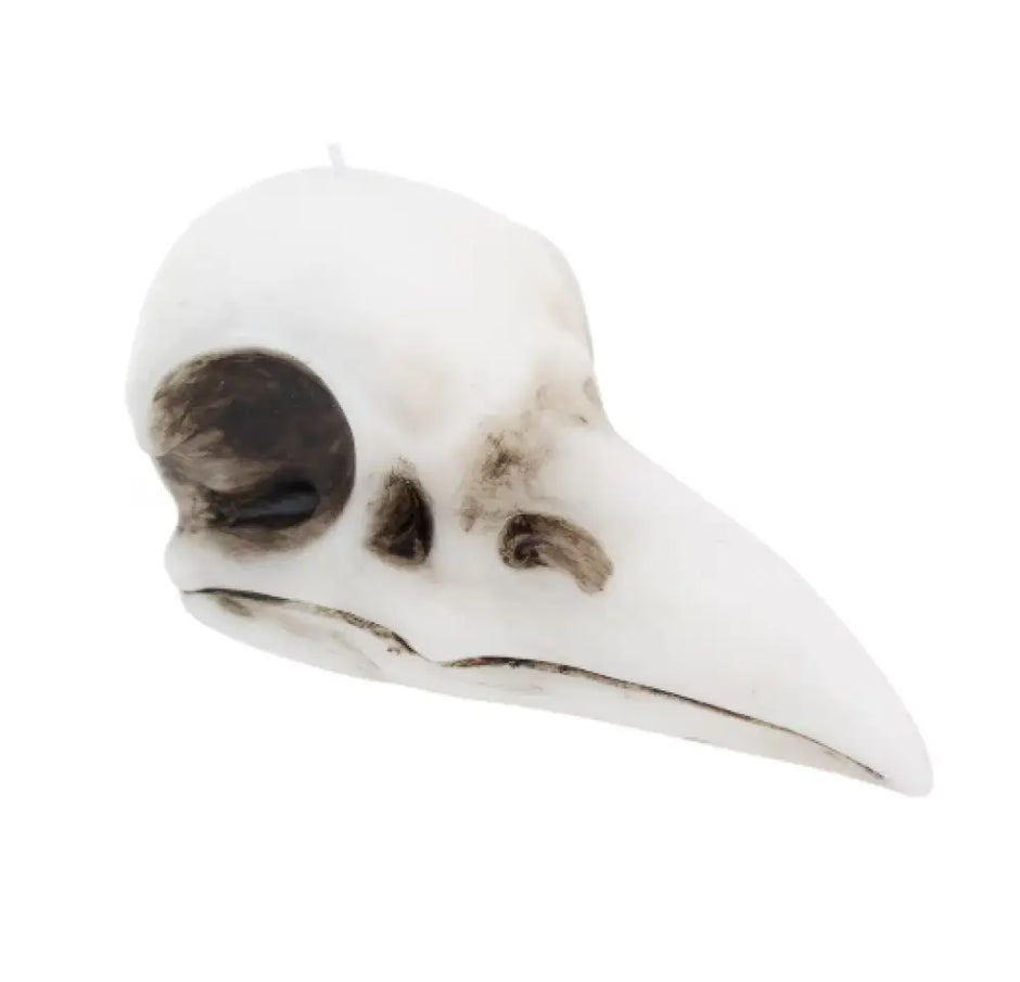 🖤✨ Crow Skull Candle (3.6’’) – Mystical Symbolism Gothic Decor and Ritual Magic! 🕯️