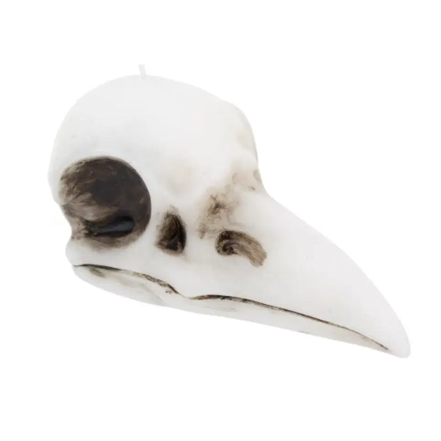 🖤✨ Crow Skull Candle (3.6’’) – Mystical Symbolism Gothic Decor and Ritual Magic! 🕯️