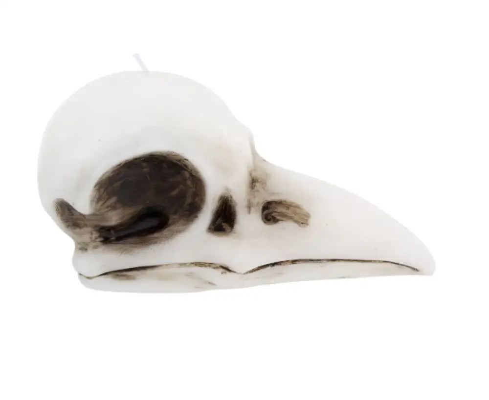🖤✨ Crow Skull Candle (3.6’’) – Mystical Symbolism Gothic Decor and Ritual Magic! 🕯️
