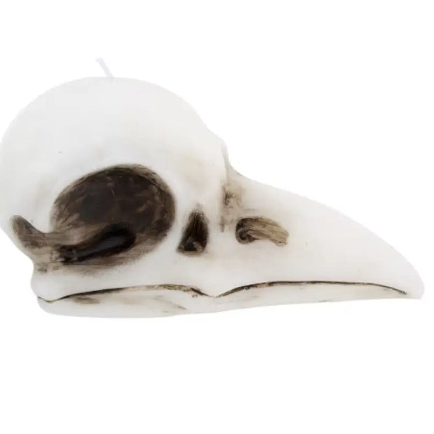 🖤✨ Crow Skull Candle (3.6’’) – Mystical Symbolism Gothic Decor and Ritual Magic! 🕯️