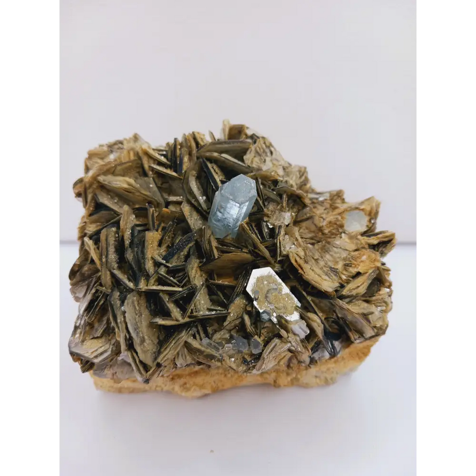 Muscovite with aquamarine specimen, showcasing shimmering layers and blue crystal accents, displayed on a white background.
