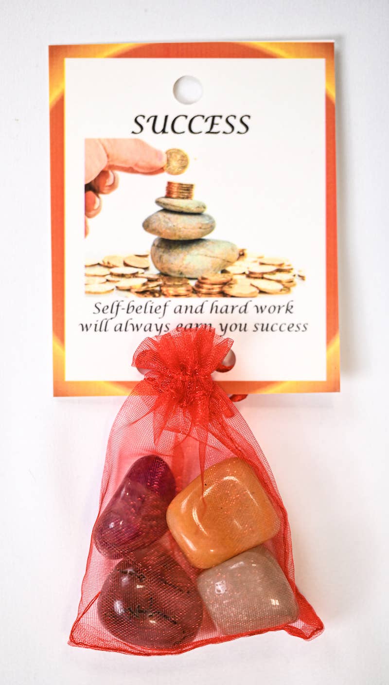 Success Crystal Tumble Healing Bag (Green Aventurine, Golden Quartz, Gray Agate + Amethyst)