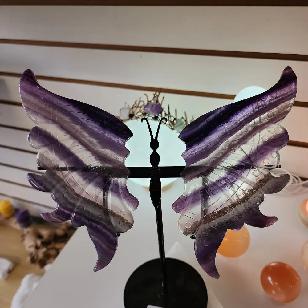 Fluorite Butterfly Slabs on Stand - Gorgeous Rainbow Fluorite Butterfy - Carvings