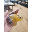 🐢 Fluorite Turtle Carvings 🐢 - Large