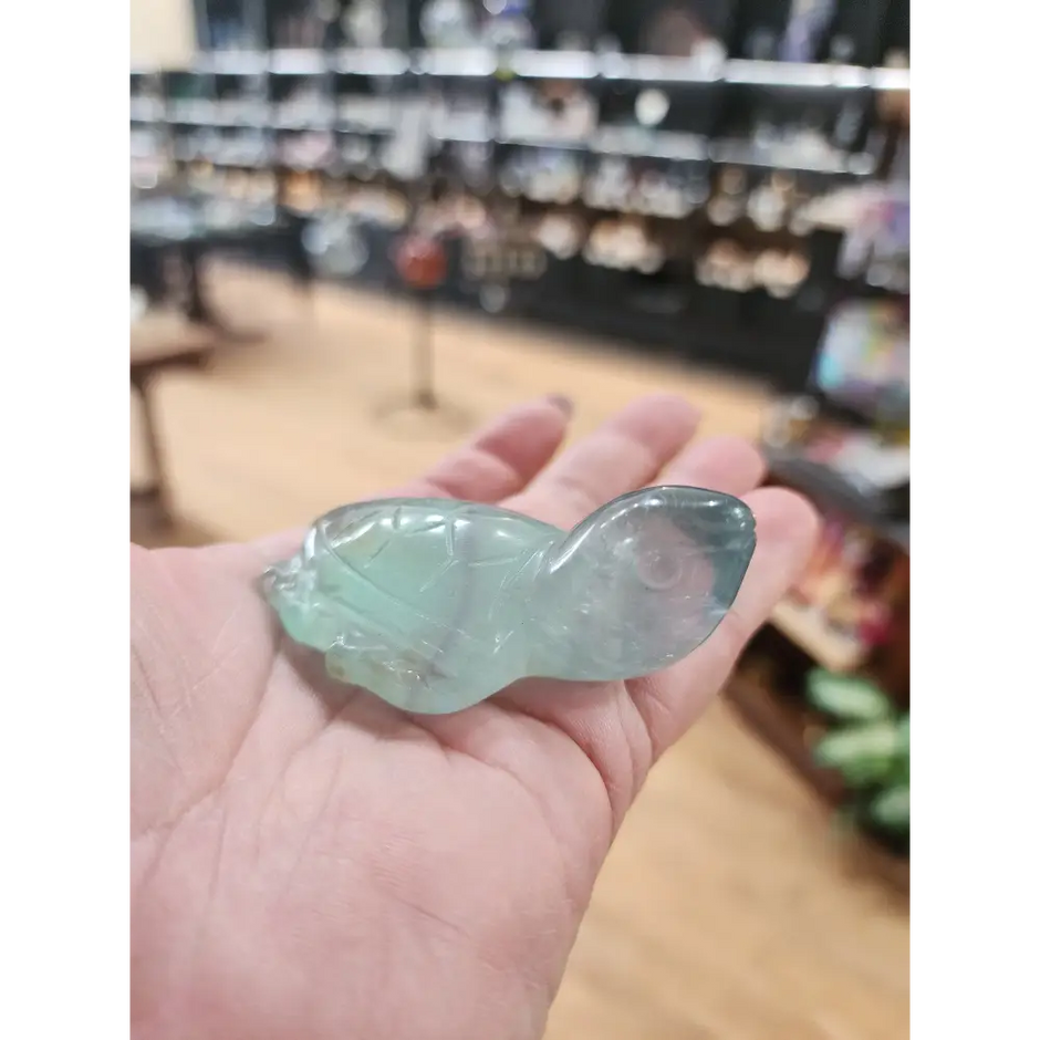🐢 Fluorite Turtle Carvings 🐢 - Small