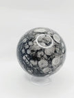 🌿🦴 Fossil Agate Sphere (2.5’’–3’’) – Ancient Wisdom Grounding Energy and Natural Beauty! ✨ - 1