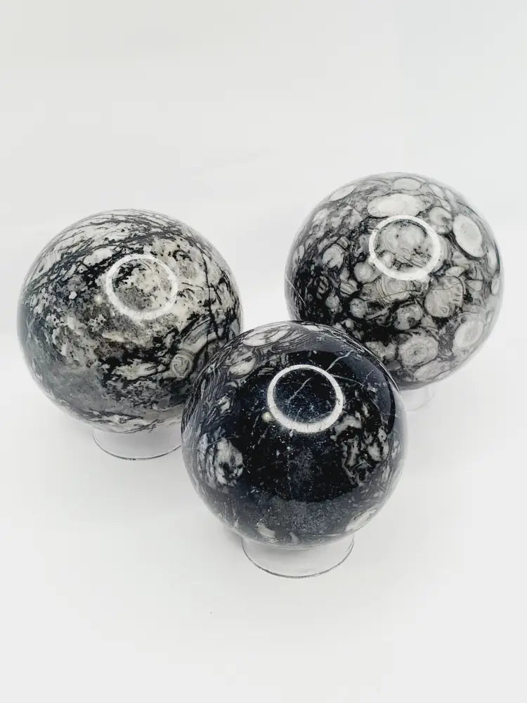 🌿🦴 Fossil Agate Sphere (2.5’’–3’’) – Ancient Wisdom Grounding Energy and Natural Beauty! ✨