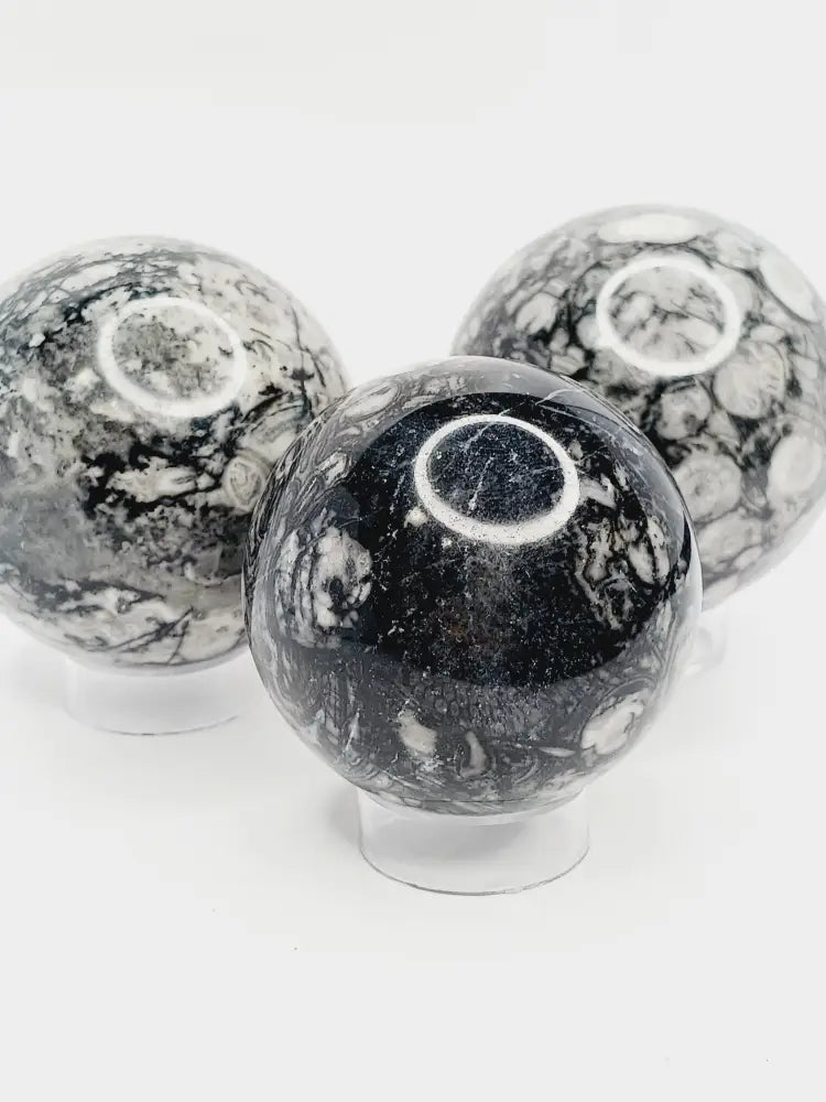 🌿🦴 Fossil Agate Sphere (2.5’’–3’’) – Ancient Wisdom Grounding Energy and Natural Beauty! ✨