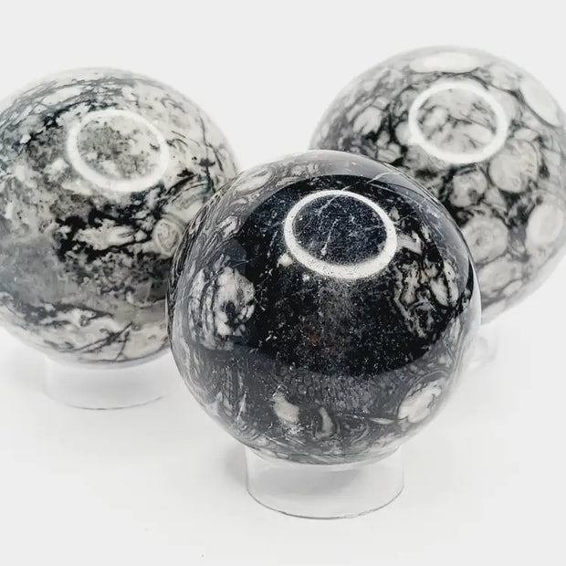🌿🦴 Fossil Agate Sphere (2.5’’–3’’) – Ancient Wisdom Grounding Energy and Natural Beauty! ✨