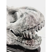🦖❤️ Garnet Dinosaur Skull on Wood Stand – Ancient Power and Vitality ✨ - Carvings