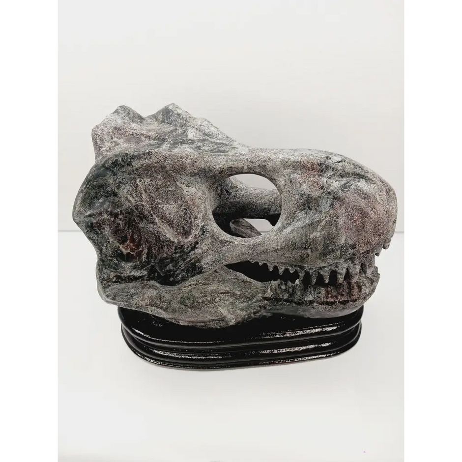 🦖❤️ Garnet Dinosaur Skull on Wood Stand – Ancient Power and Vitality ✨ - Carvings