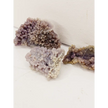 🍇✨ Grape Agate Specimen – Intuition Calm and Spiritual Growth 💜 - Specimens