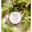 🌿✨ Healing Balm – Lemongrass & Eucalyptus for Soothing Relief! 🍃💚