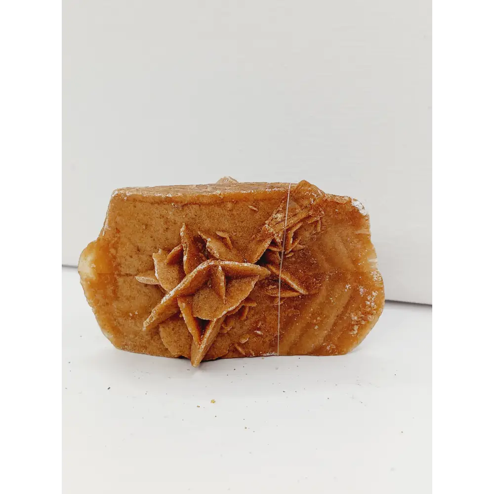 🏜️✨HUGE Desert Rose Specimen – Clarity Confidence and Spiritual Growth 🌟 - 01. Small - Specimens