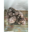 Smokey Quartz Specimen - Specimens