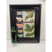🖤🌱 Inspiring Propagation Frame with Bottle – Growth Positivity and Daily Motivation ✨ - Dreams Don’t Work Unless
