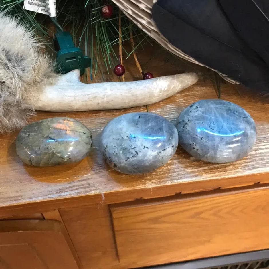 Laboradorite Palms- IP - PALM