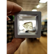 🌌 Libyan Desert Glass Specimens ✨ - 10 - Specimens