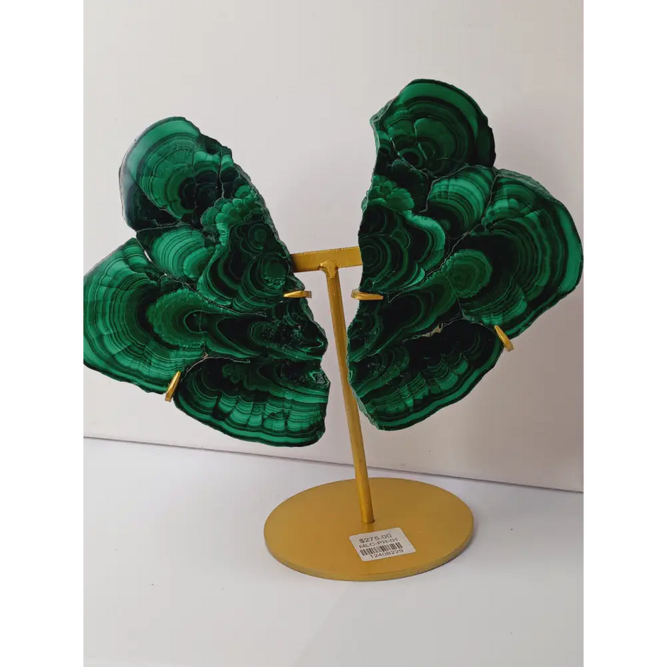 Pair of polished malachite slabs with vibrant green banding, displayed upright on a metal stand against a white background.