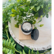 ✨ Mineral Toothpaste – Naturally Polish Whiten and Strengthen Your Smile! 🦷 - Bath Body & Skin Products