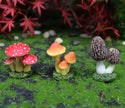 Mini Mushrooms for Fairy Gardens - Fairy Gardens