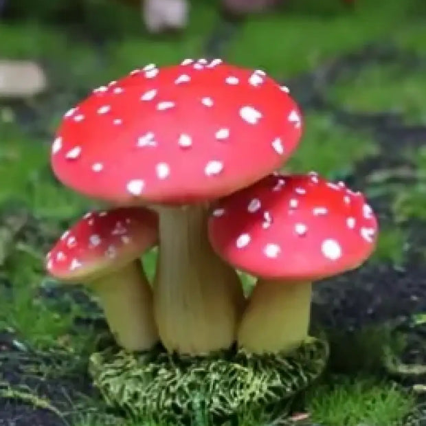 Mini Mushrooms for Fairy Gardens - Red Capped - Fairy Gardens