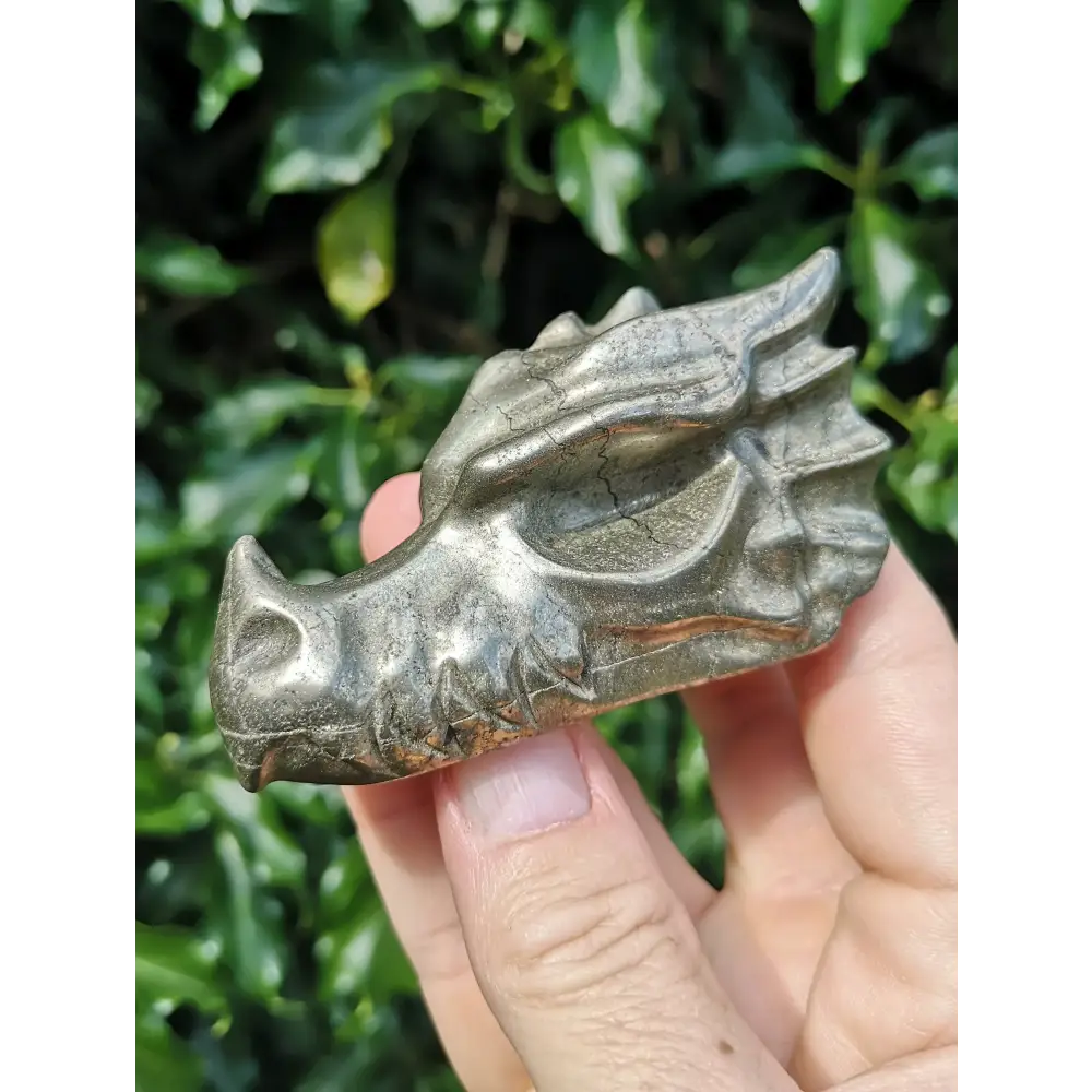 🐉✨ Mixed Material Crystal Dragon Heads – 3’’ – Mystical Guardians & Unique Energy Blends! 🌈 - Pyrite - Carvings