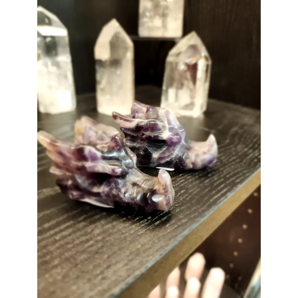 🐉✨ Mixed Material Crystal Dragon Heads – 3’’ – Mystical Guardians & Unique Energy Blends! 🌈 - Dream Amethyst - Carvings