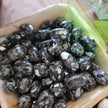 Mixed Shell Tumbles - BLACK - Tumbles