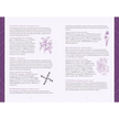 Modern-Day Witch 2024 Wheel of the Year 17-Month Planner - Tarot Decks & Divination