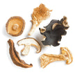 Mushroom Extract Powders (organic)