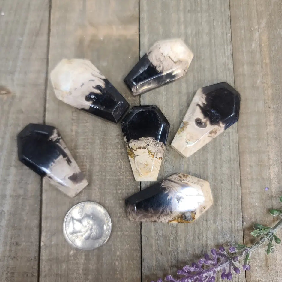 Palm Root Agate Coffins - Carvings